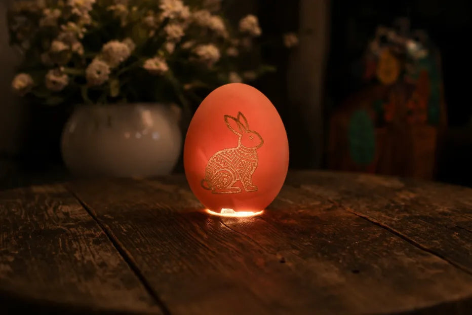 S2 Pro | Egg
